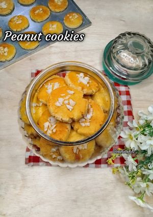 Peanut Cookies | 1 Adonan Kue Kering Untuk Aneka Variasi | Cookies Sat Set