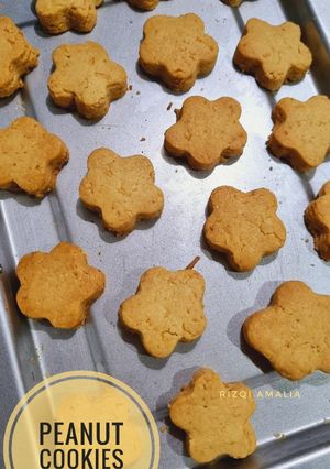 Peanut Cookies